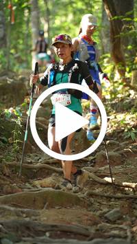 BIB:  <button type="button" onclick="openModal(27638898)" class="btn btn-primary btn-sm float-right" data-toggle="modal" data-target=".modal-high-quality">
                <i class="fa fa-download"></i> Download
                </button>